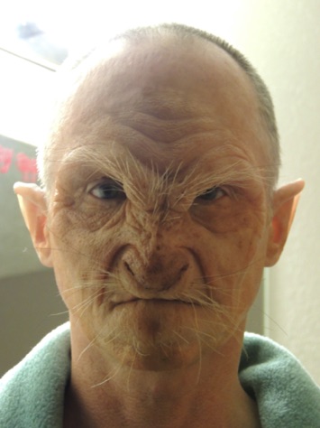 Grandma Wolf Prosthetic Application